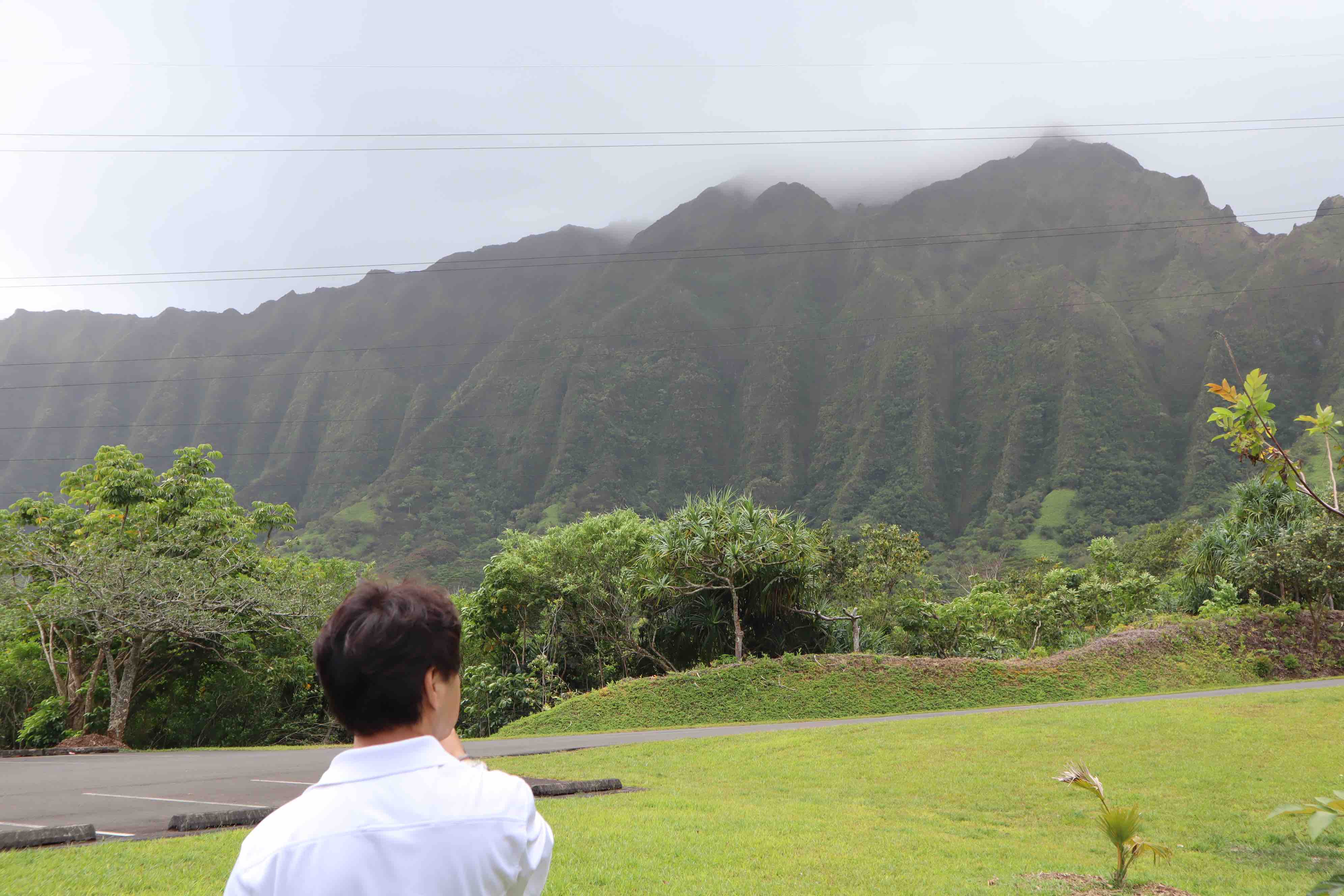 hoomaluhiabotanicalgarden